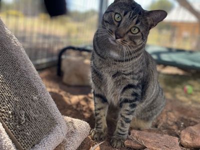 Hello my name is Eros