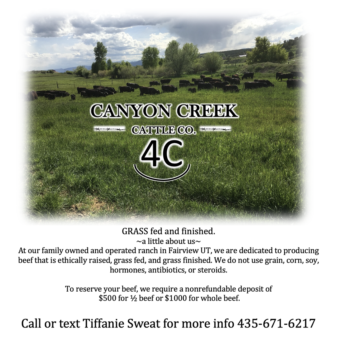 Grass Fed and Grass Finished Beef