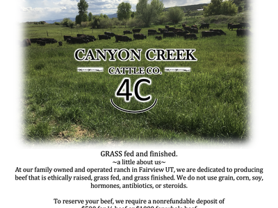 Grass Fed and Grass Finished Beef