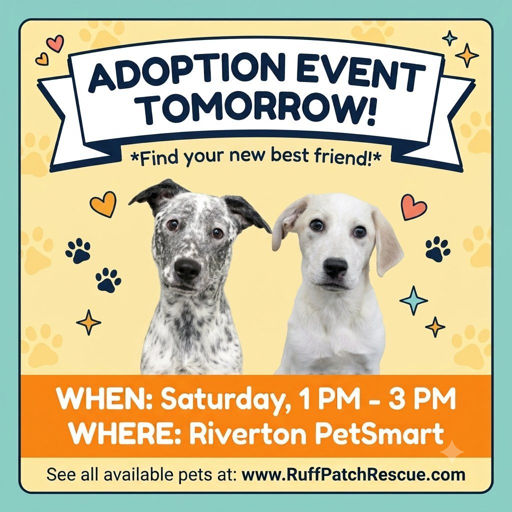 Dog Adoption Event - Find Your New Best Friend! Saturday 1 PM - 3 PM at Riverton PetSmart!