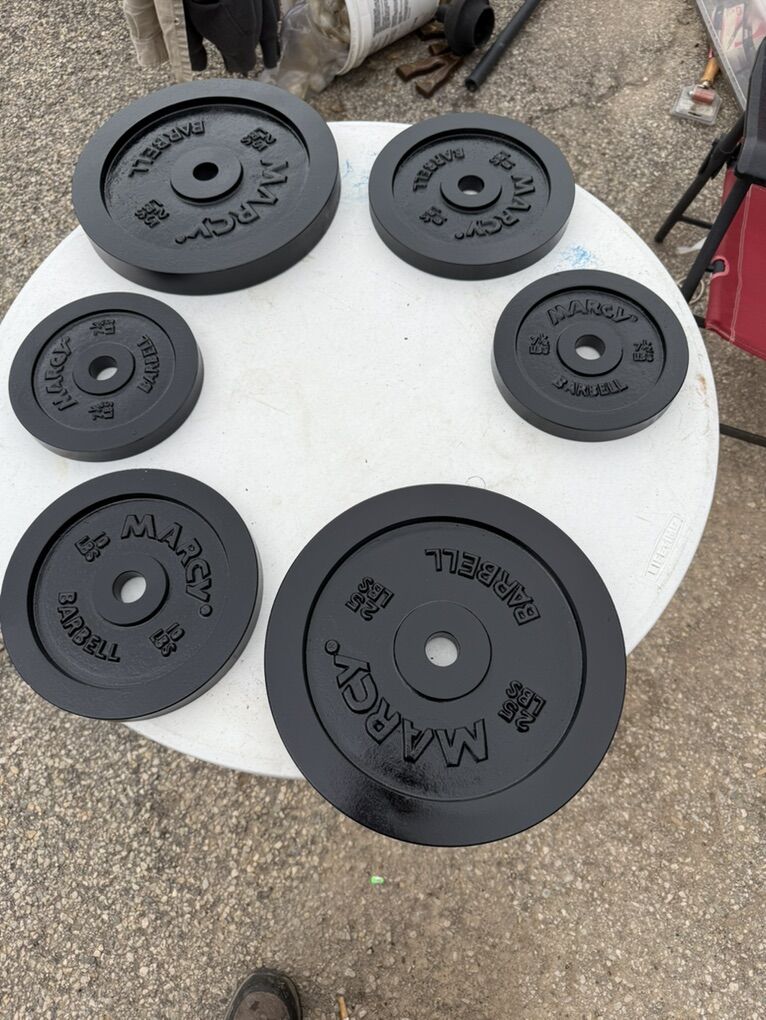 Weight plates ( MARCY )