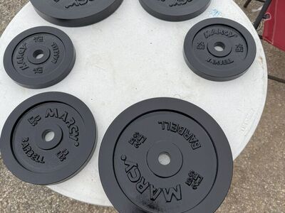Weight plates ( MARCY )
