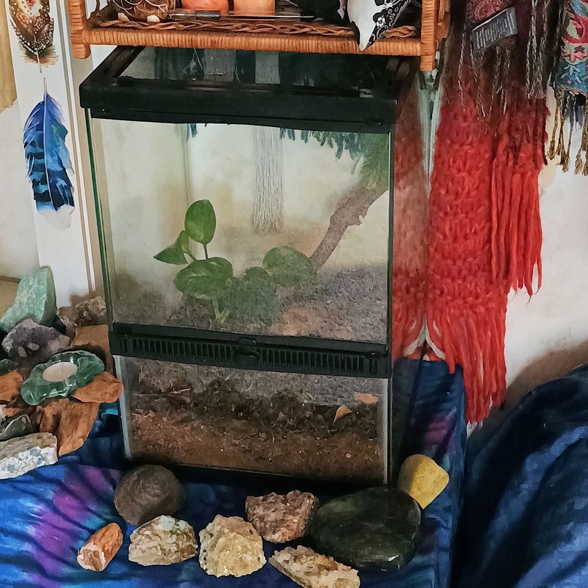 Main image 13