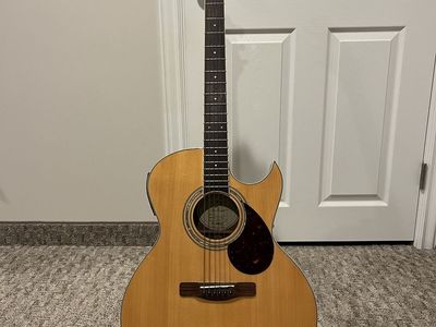 Samich Guitar - Greg Bennett Design