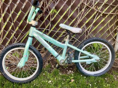 Specialized Kids Bike