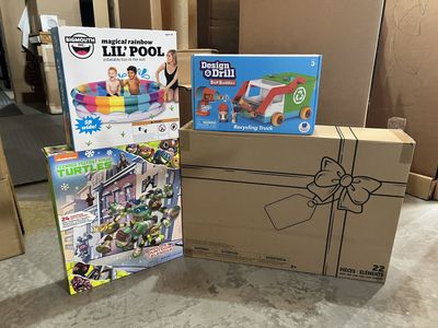NEW: Bolt Buddies, Disney Ariel, Ninja Turtle, Pool Toys