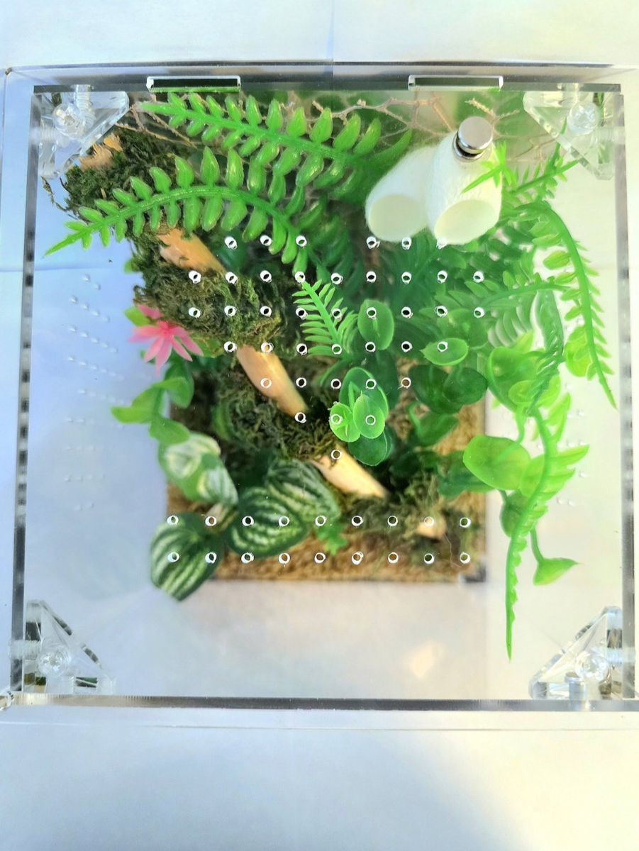 Main image 4