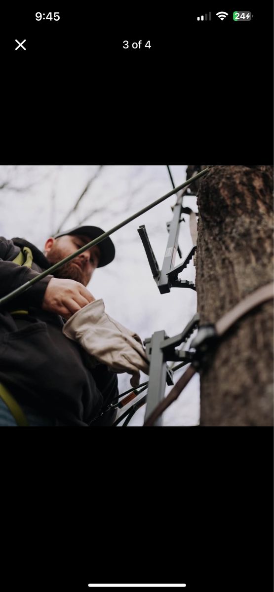 Climbing Sticks LMO4 for Hunting - Set of 3