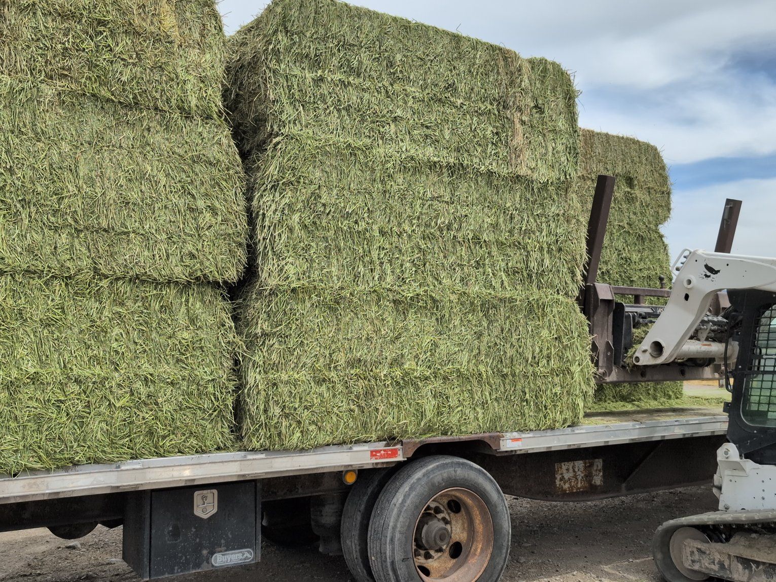 Hay for sale