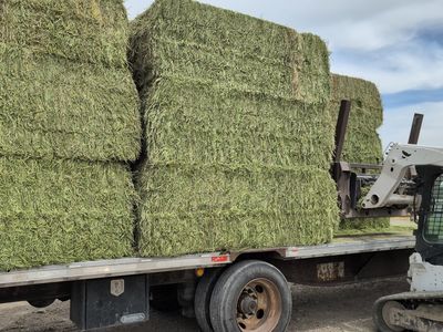 Hay for sale