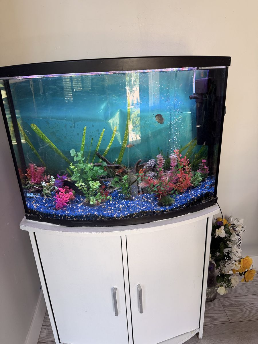 36 gallon aquarium