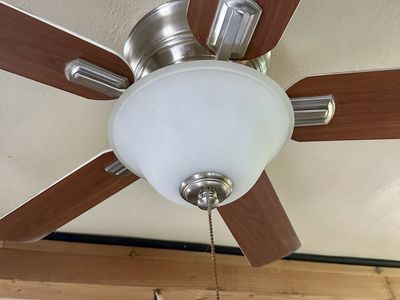 Ceiling fan