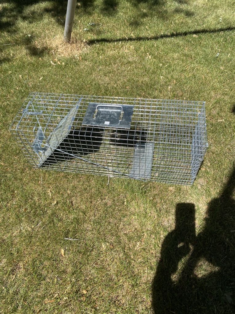 Live Animal Trap