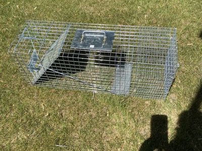 Live Animal Trap