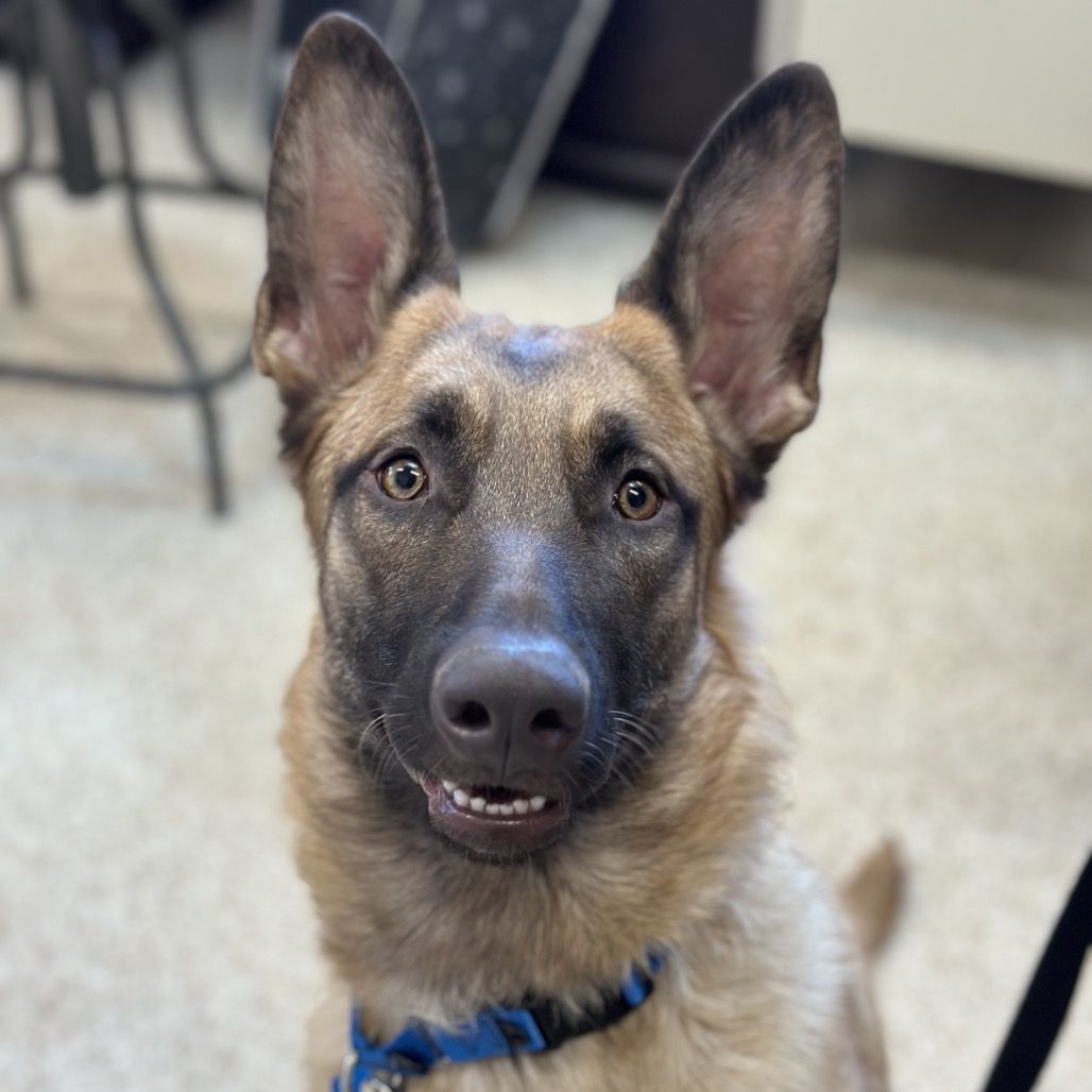 Hello my name is Milly