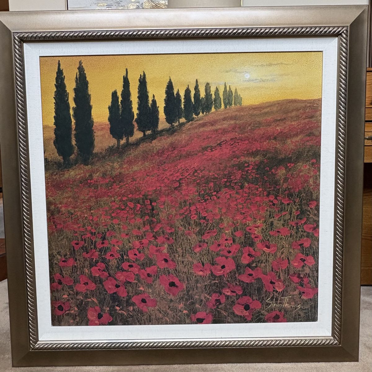 Framed Art by Steve Thoms
