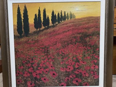 Framed Art by Steve Thoms
