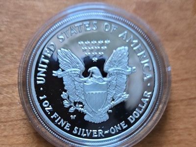 2007 W (West Point) 1 oz Silver Proof Eagle.