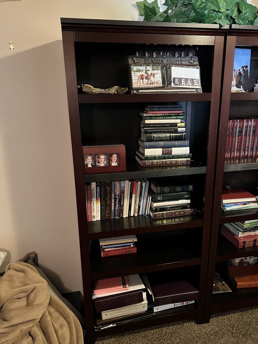 Dark Wood Tall Bookshelf/Bookcase