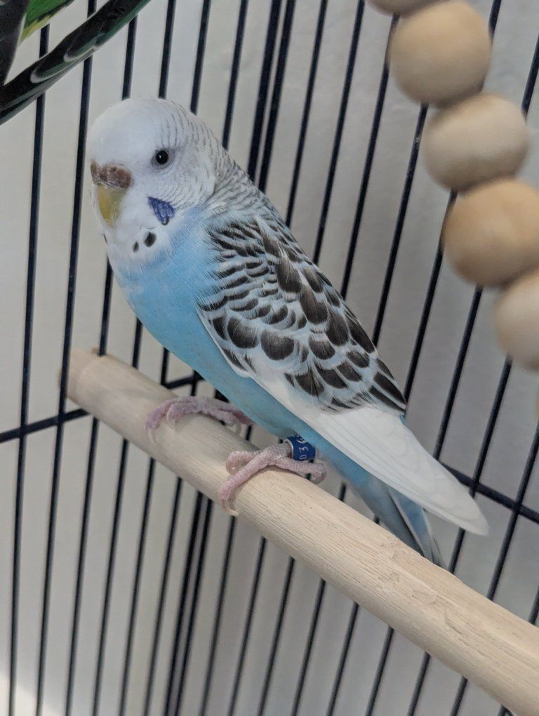 Main image 4
