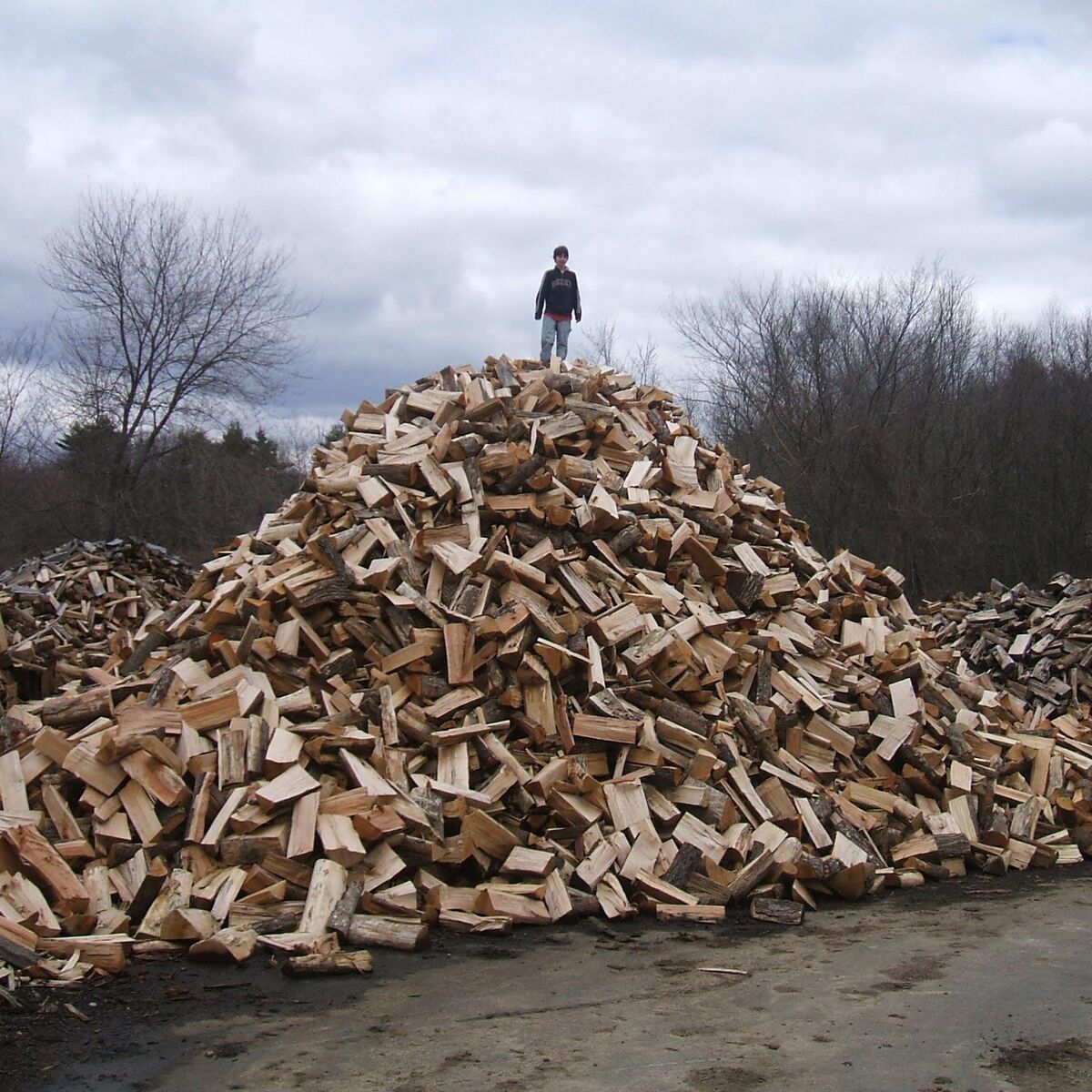 Best firewood on ksl 8 years