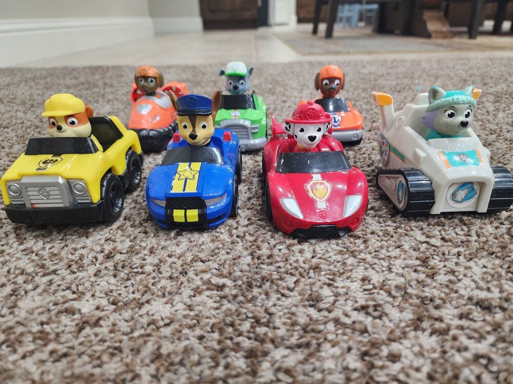 Paw Patrol Race Cars