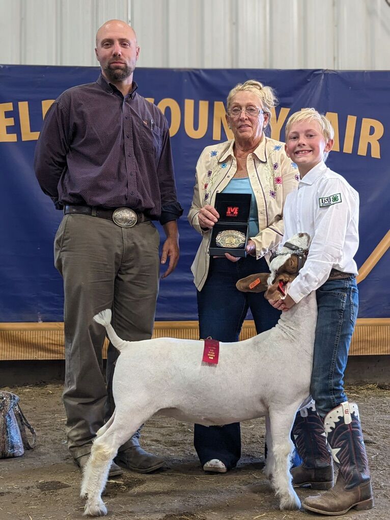 Boer Doe Available after Weaning Her Kids