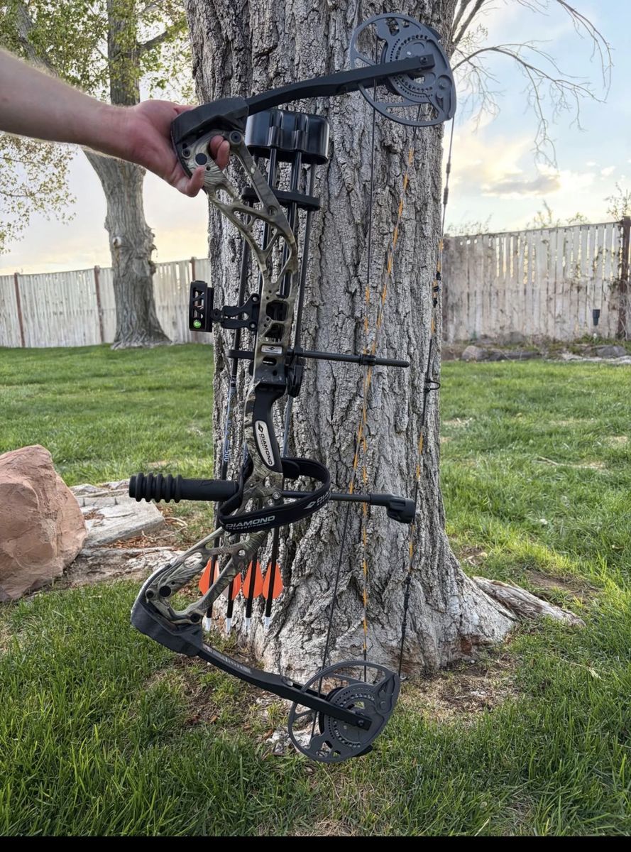 Compound  bow
