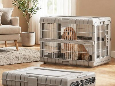 Collapsible Dog Crate for Medium Dogs - 28" L, 2 Available