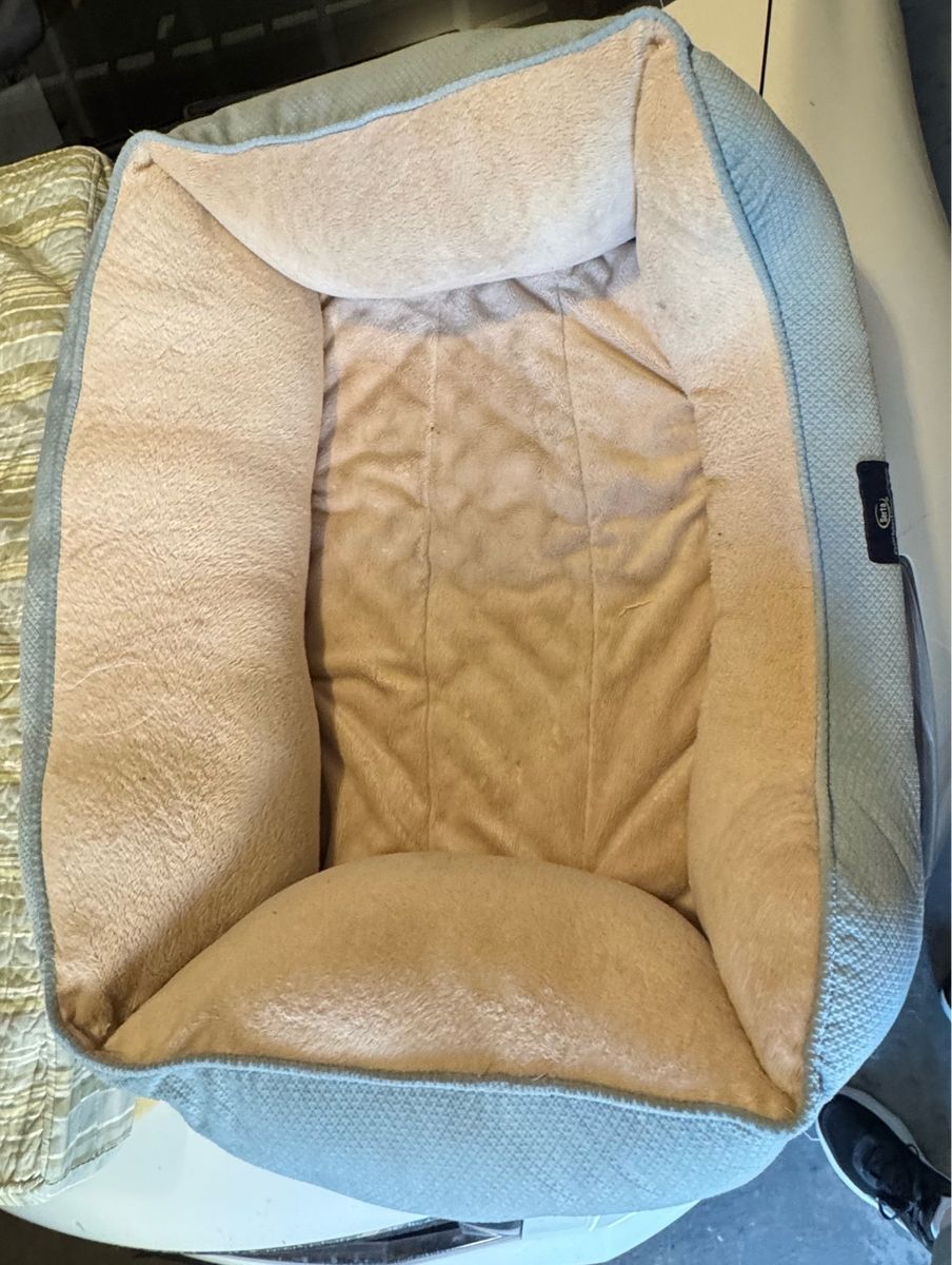 Dog bed free