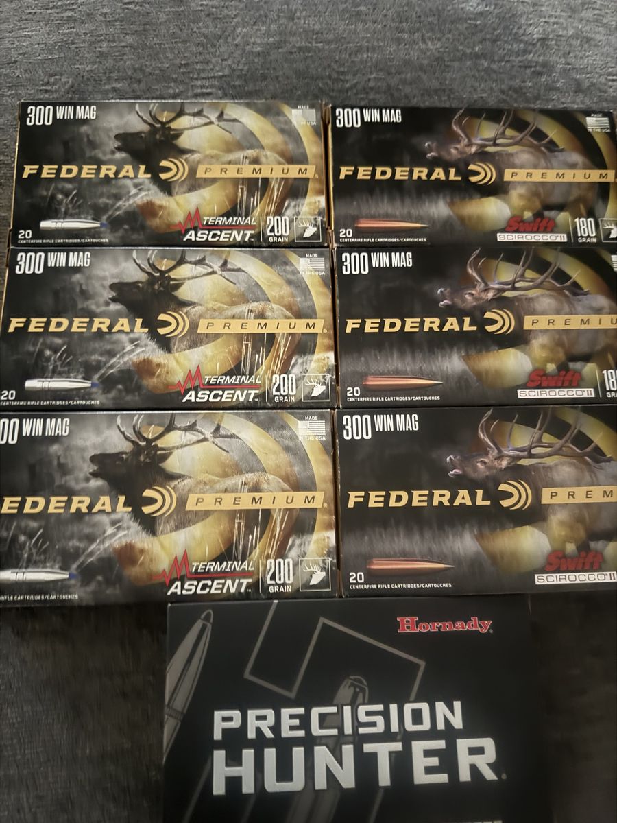 300 win mag ammunition 