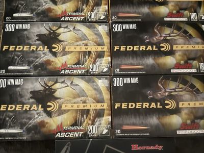 300 win mag ammunition