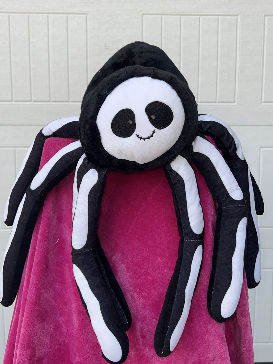 Silly Spooky Spider Friend
