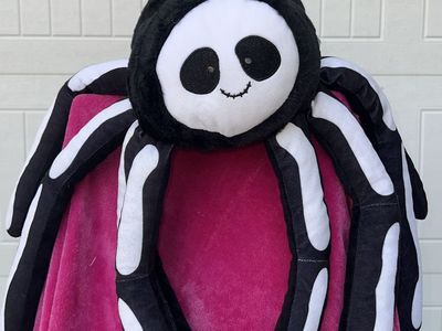 Silly Spooky Spider Friend