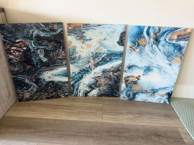 Set of 3 beautiful canvases