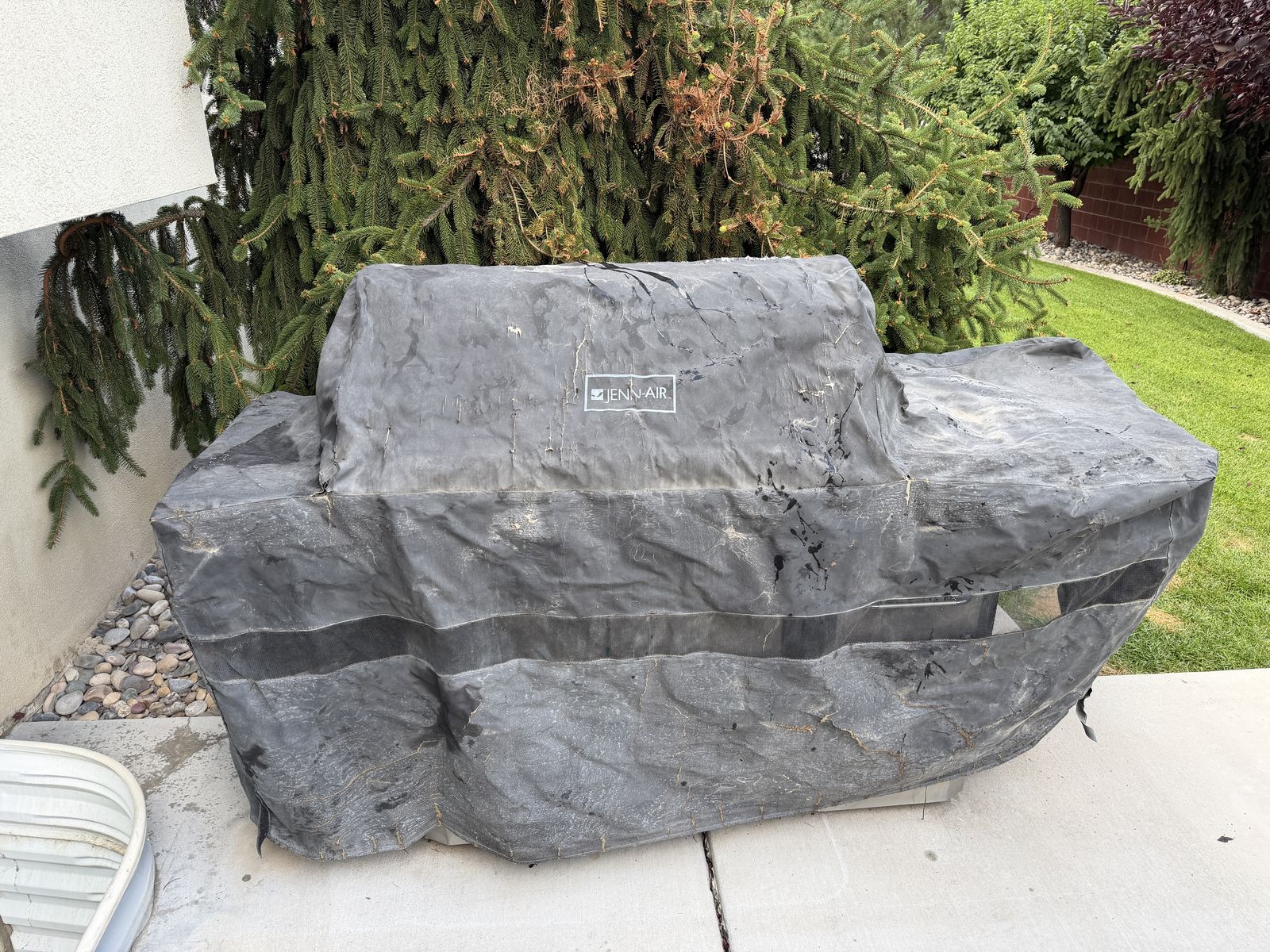 Main image 5