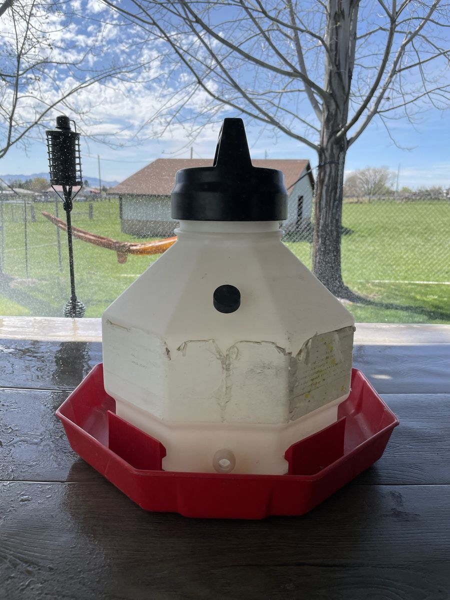 Little Giant Poultry Waterer, 3-gal