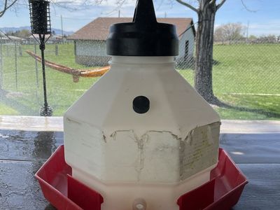 Little Giant Poultry Waterer, 3-gal