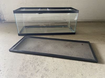 20 Gallon Tank w/Screen Lid