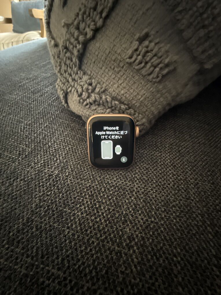 Series 4 Apple Watch