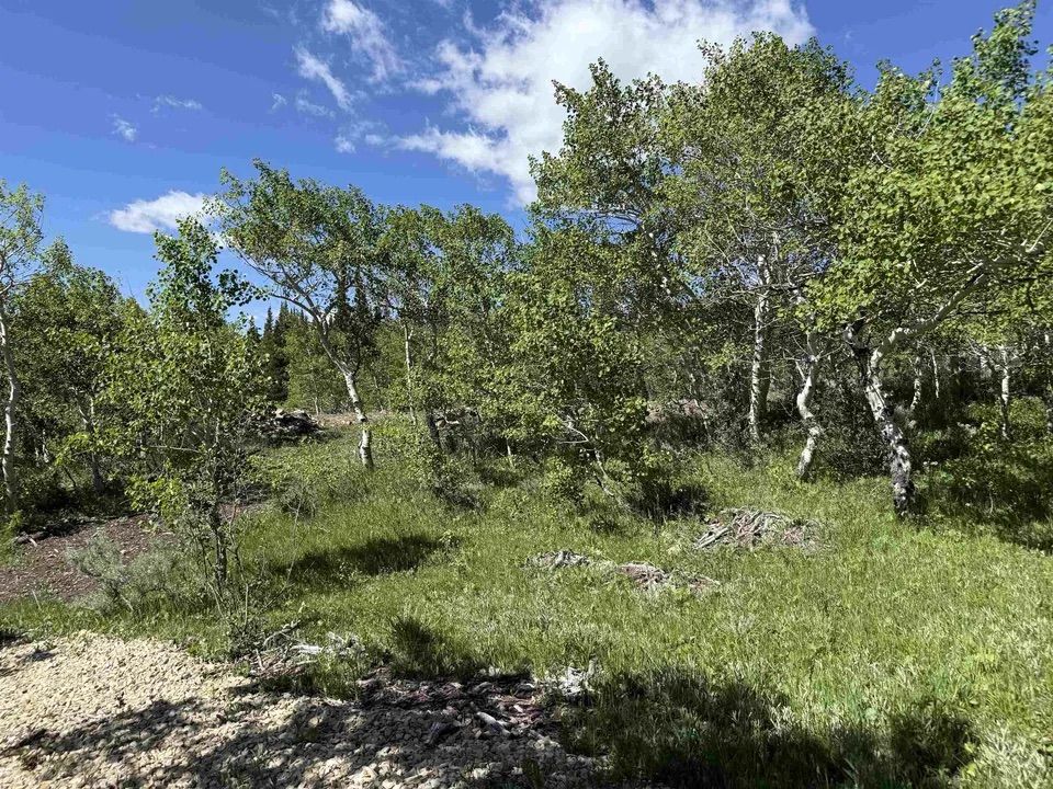Main image 7