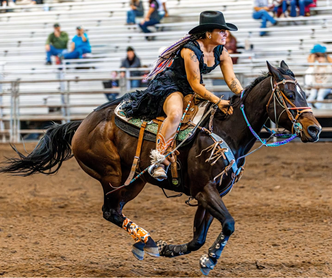 Winning AQHA Mare For Sale/part Trade