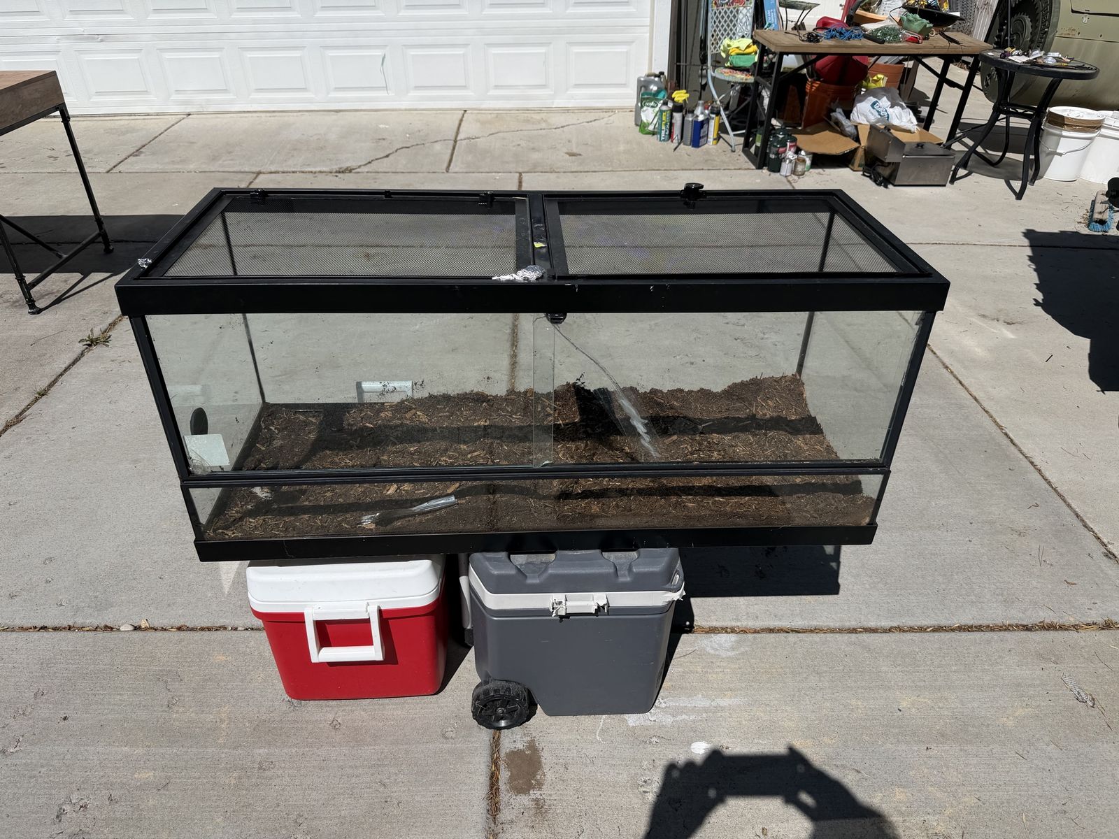 Large Glass Terrarium / Reptile Enclosure with Screen Top - Used, Good Condition