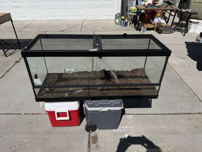 Large Glass Terrarium / Reptile Enclosure with Screen Top - Used, Good Condition