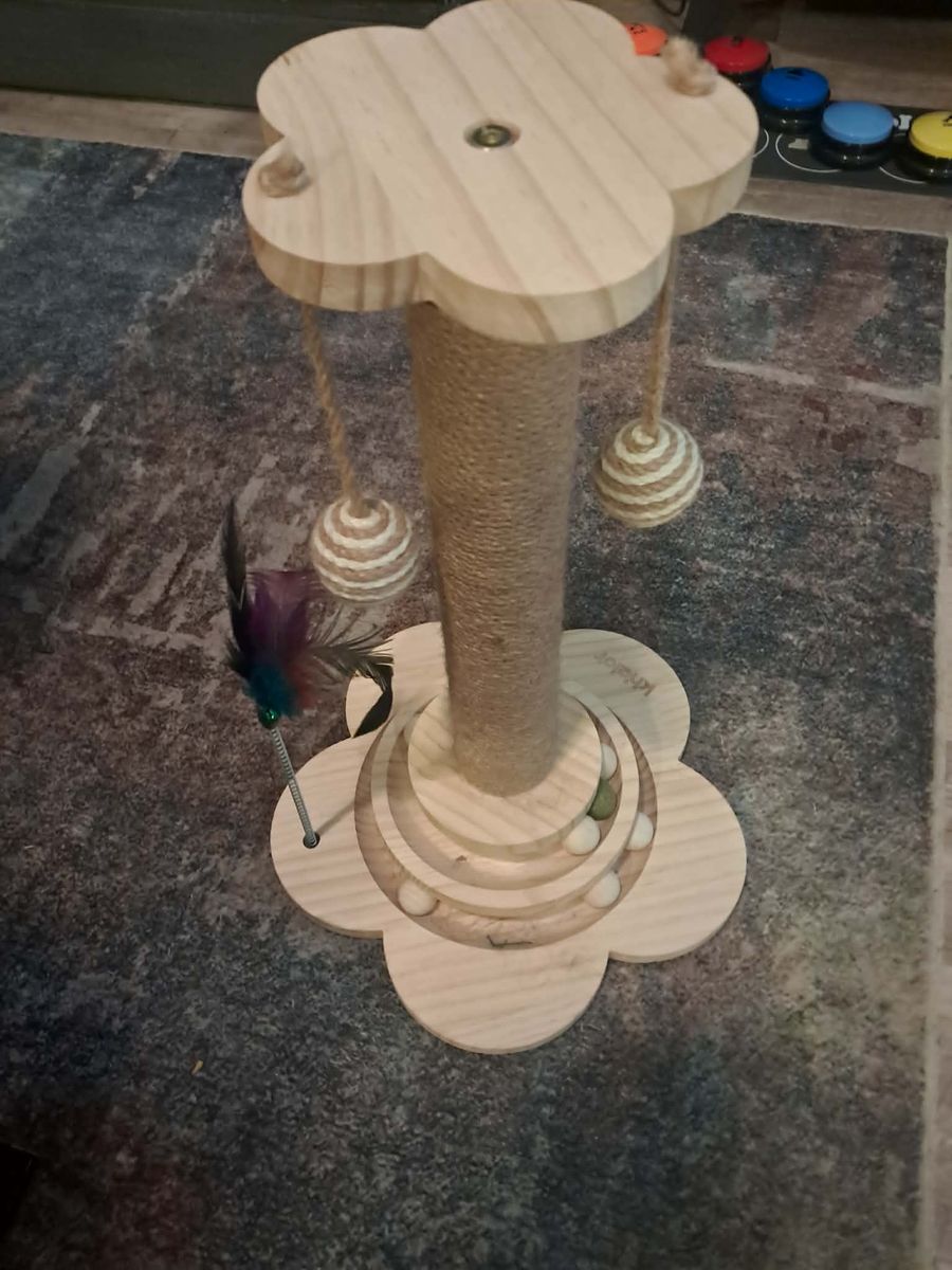 Main image 6