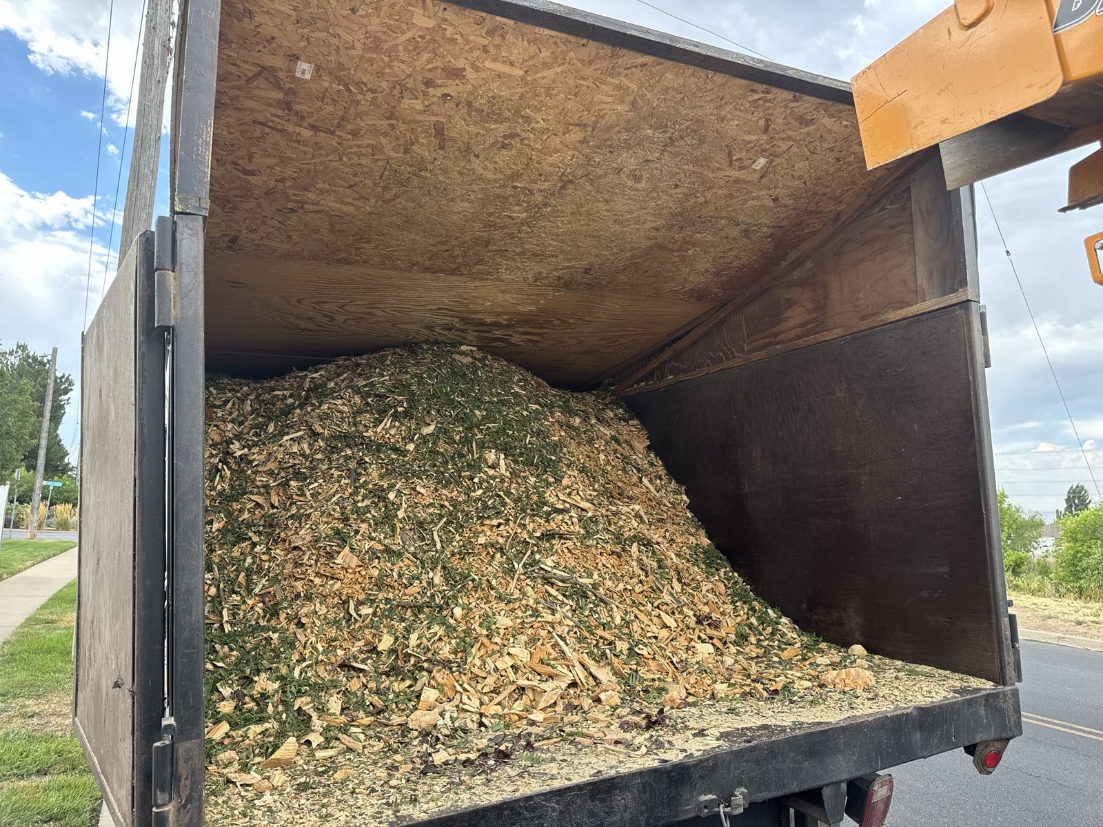 Wood Chips