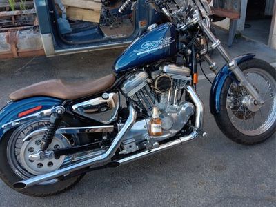 1998 Sporster Hugger