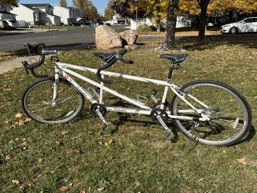 Viaggio Lambourghini Tandem Bicycle