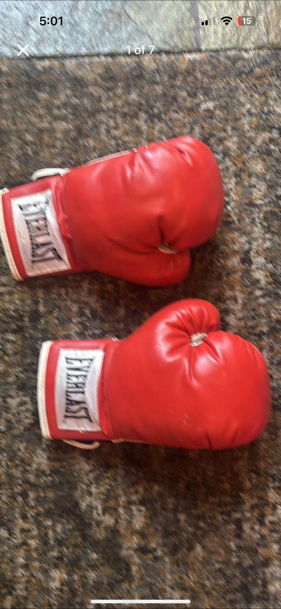 Vintage Boxing Gloves