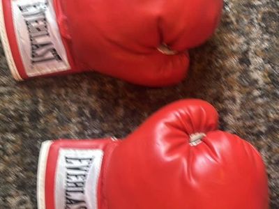Vintage Boxing Gloves